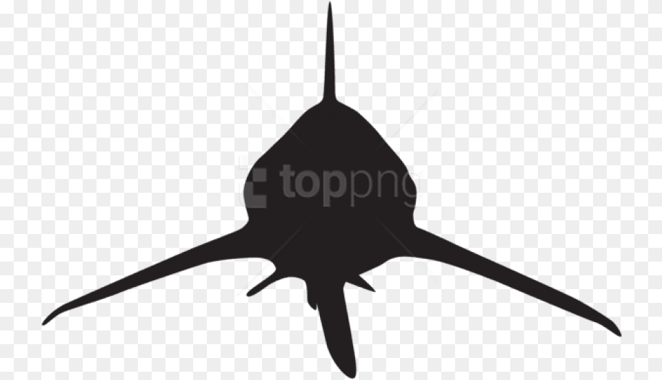 Shark Attack Silhouette, Animal, Sea Life, Fish, Blade Free Png