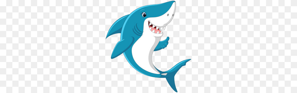 Shark Attacks, Animal, Sea Life, Fish Free Png Download