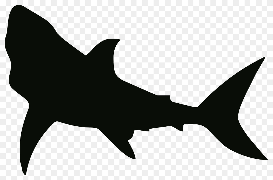 Shark Black And White, Animal, Fish, Sea Life Png Image