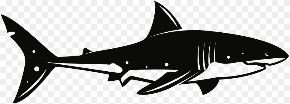 Shark Black And White Clipart, Animal, Fish, Sea Life, Great White Shark Free Png Download