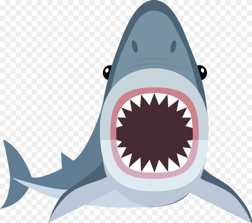 Shark Cartoon Shark, Animal, Fish, Sea Life, Great White Shark Png