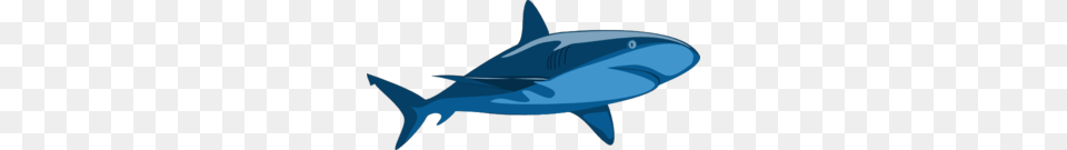 Shark Clip Art, Animal, Fish, Sea Life, Aircraft Free Png Download