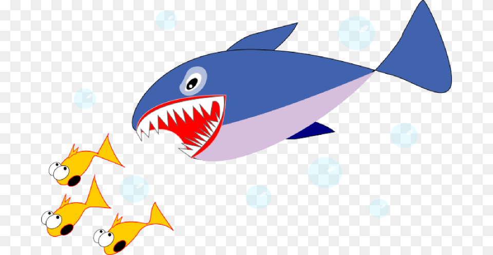 Shark Clip Art, Animal, Sea Life, Fish Png