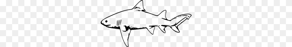 Shark Clip Arts, Gray Png
