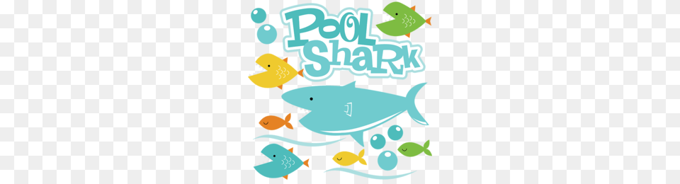 Shark Clipart, Animal, Baby, Person, Sea Life Png Image
