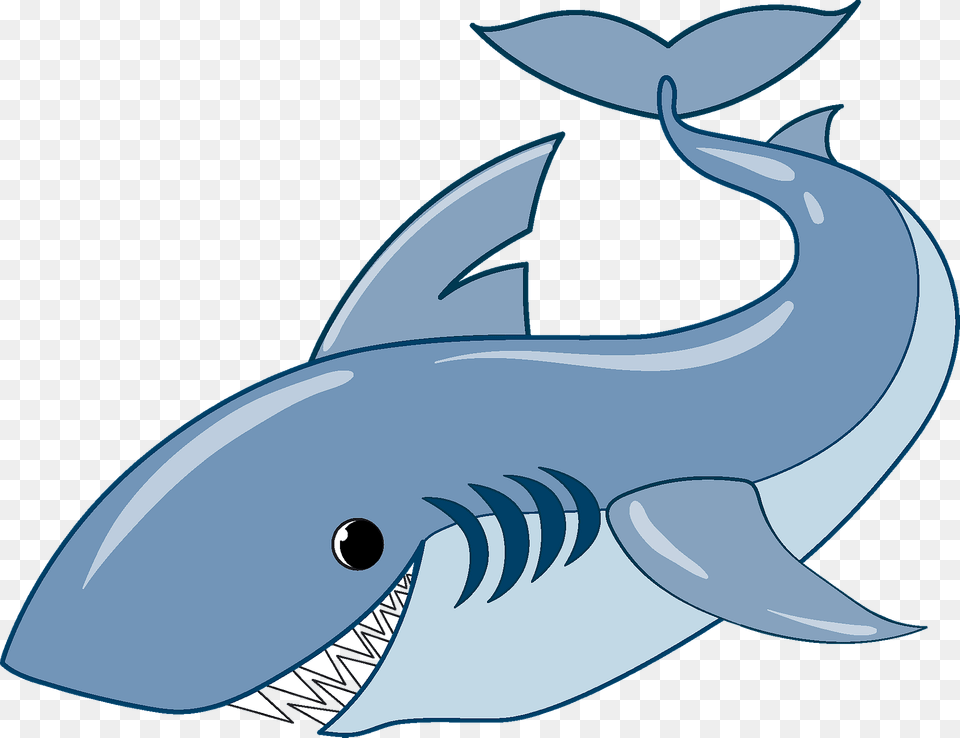 Shark Clipart, Animal, Sea Life, Fish Png