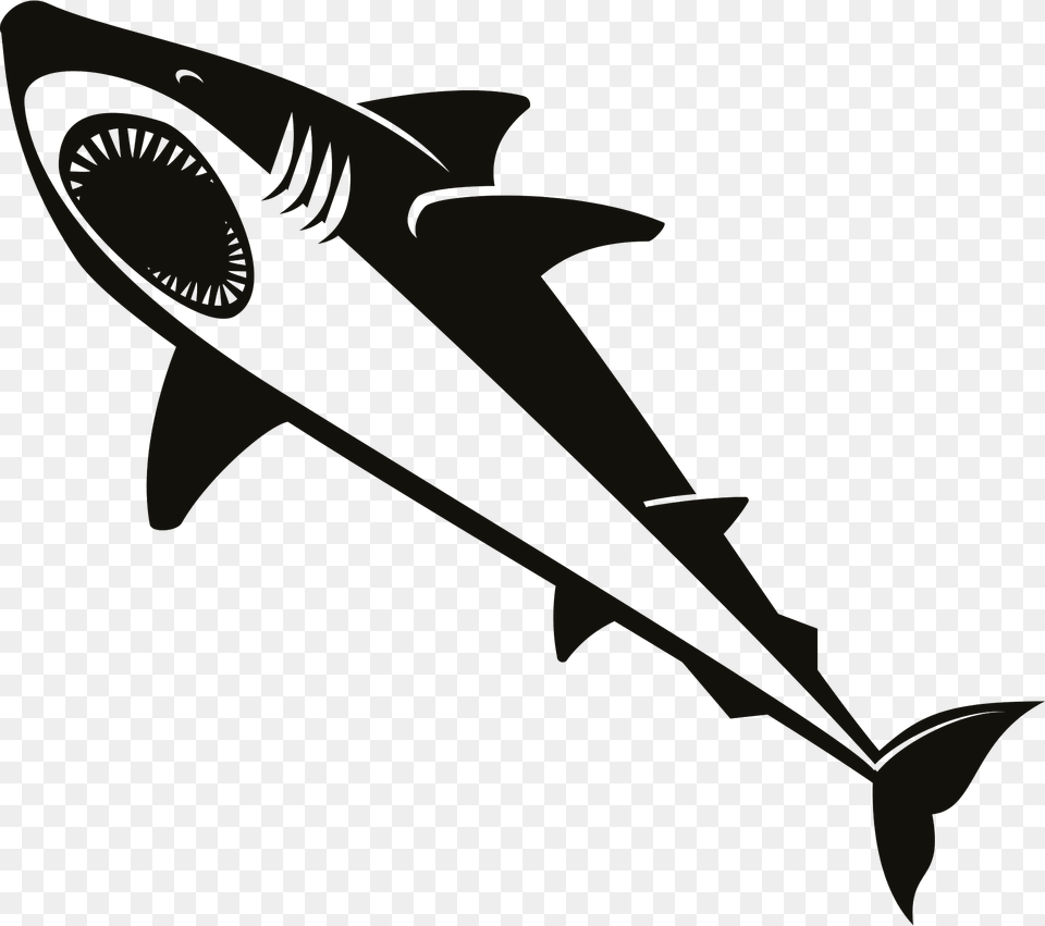 Shark Clipart, Animal, Fish, Sea Life Free Transparent Png