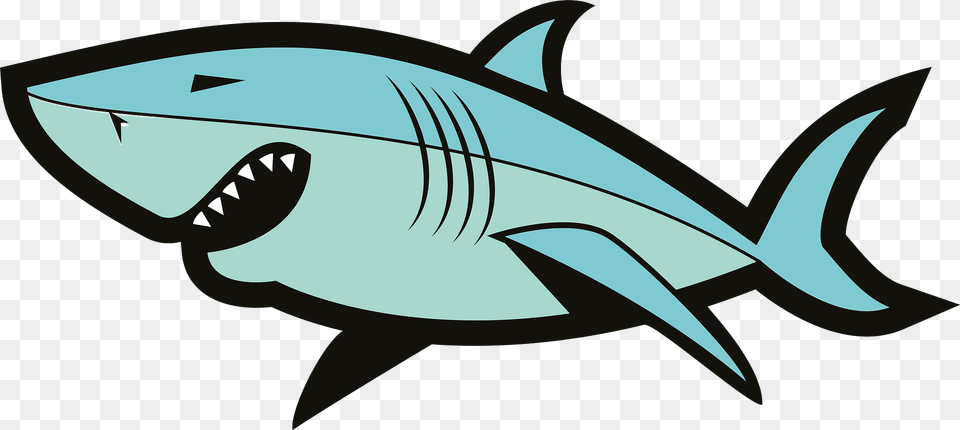 Shark Clipart, Animal, Fish, Sea Life, Great White Shark Free Transparent Png