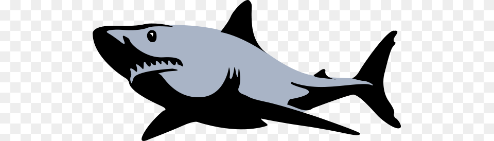 Shark Clipart, Stencil, Animal, Fish, Sea Life Png Image