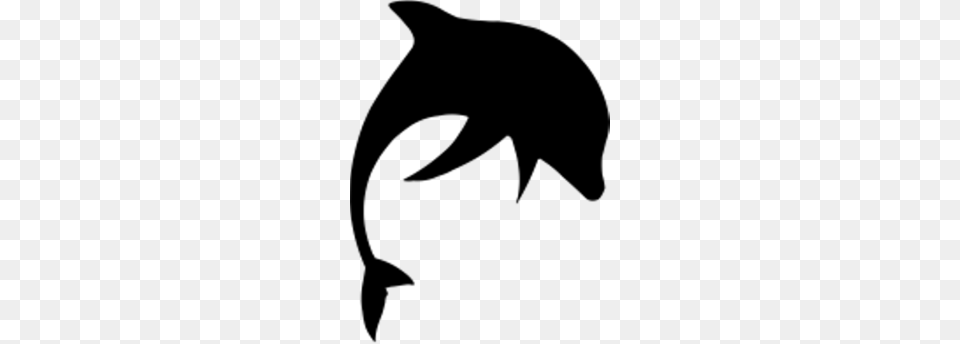 Shark Clipart, Gray Png