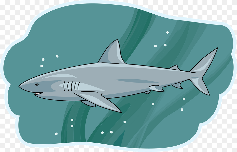 Shark Clipart, Animal, Fish, Great White Shark, Sea Life Free Transparent Png