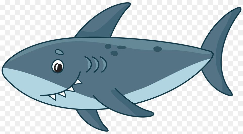 Shark Clipart, Animal, Sea Life, Fish, Tuna Png Image