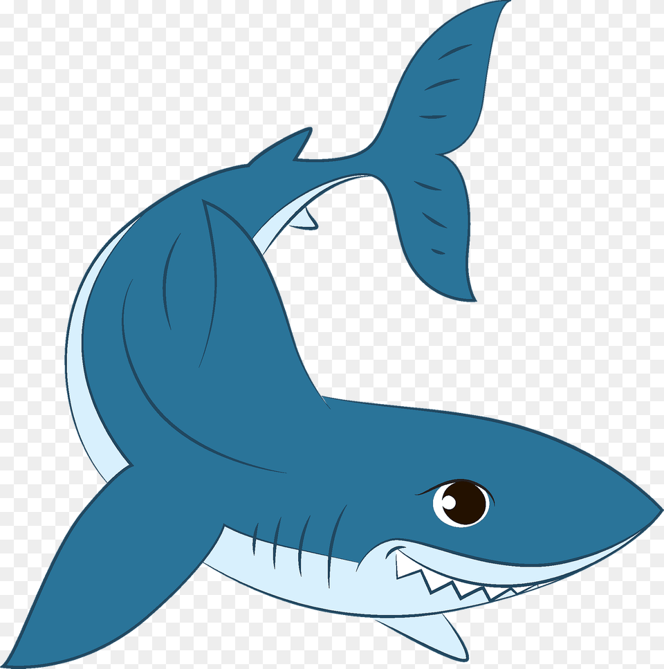 Shark Clipart, Animal, Sea Life, Fish, Great White Shark Free Transparent Png