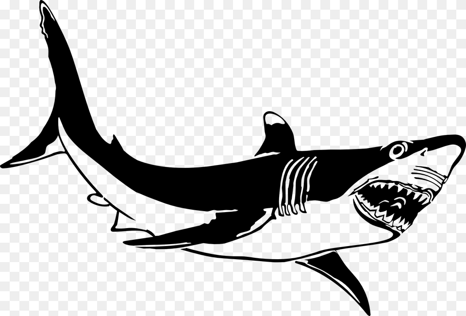 Shark Clipart Black And White, Animal, Fish, Sea Life Free Transparent Png