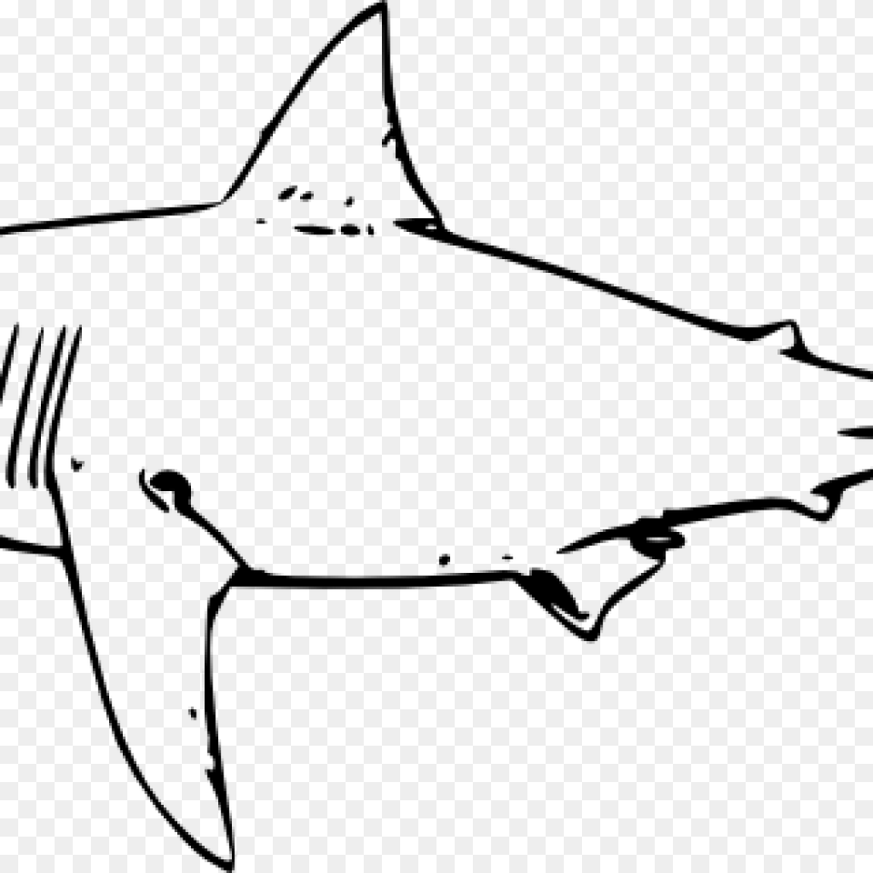 Shark Clipart Black And White Clipart Download, Gray Free Png