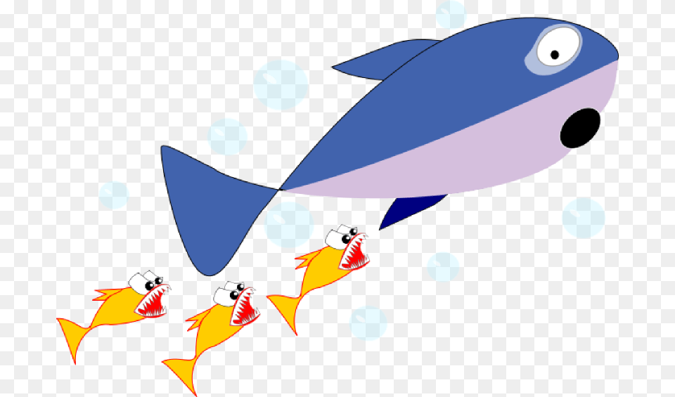 Shark Clipart Foca, Animal, Bird, Fish, Sea Life Png