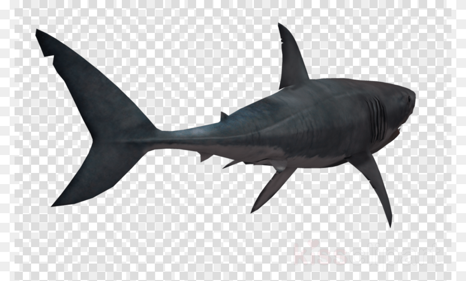 Shark Clipart Great White Shark Clip Overwatch Reaper Artwork, Animal, Fish, Sea Life Free Png Download