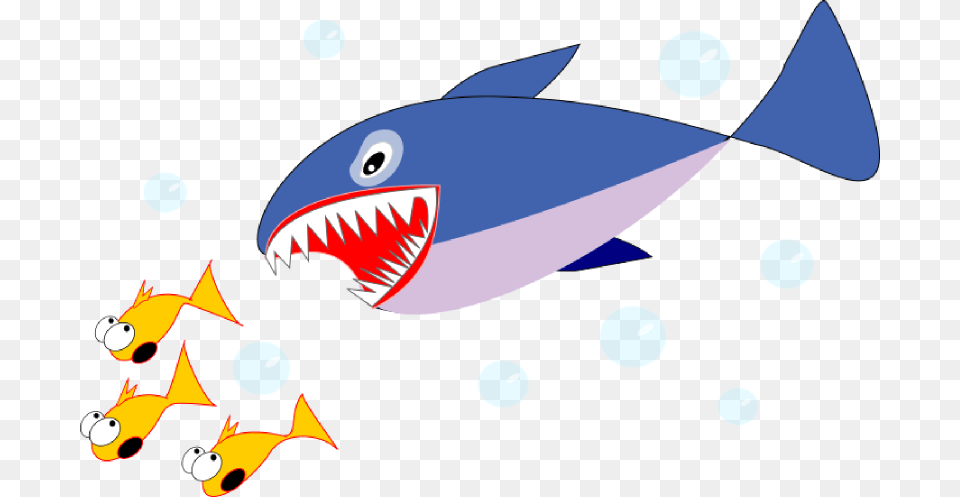 Shark Clipart Suggestions For Shark Clipart Download Shark Clipart, Animal, Sea Life, Fish Free Png