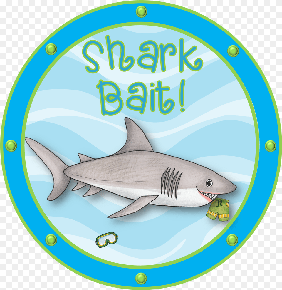Shark Clipart Teacher Shark Bait Clipart, Animal, Fish, Sea Life, Window Free Png