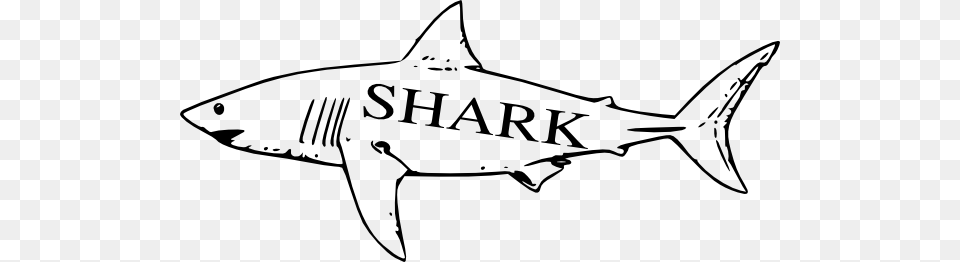 Shark Clipart Vertebrate Great White Shark Line Art, Animal, Fish, Sea Life, Great White Shark Png