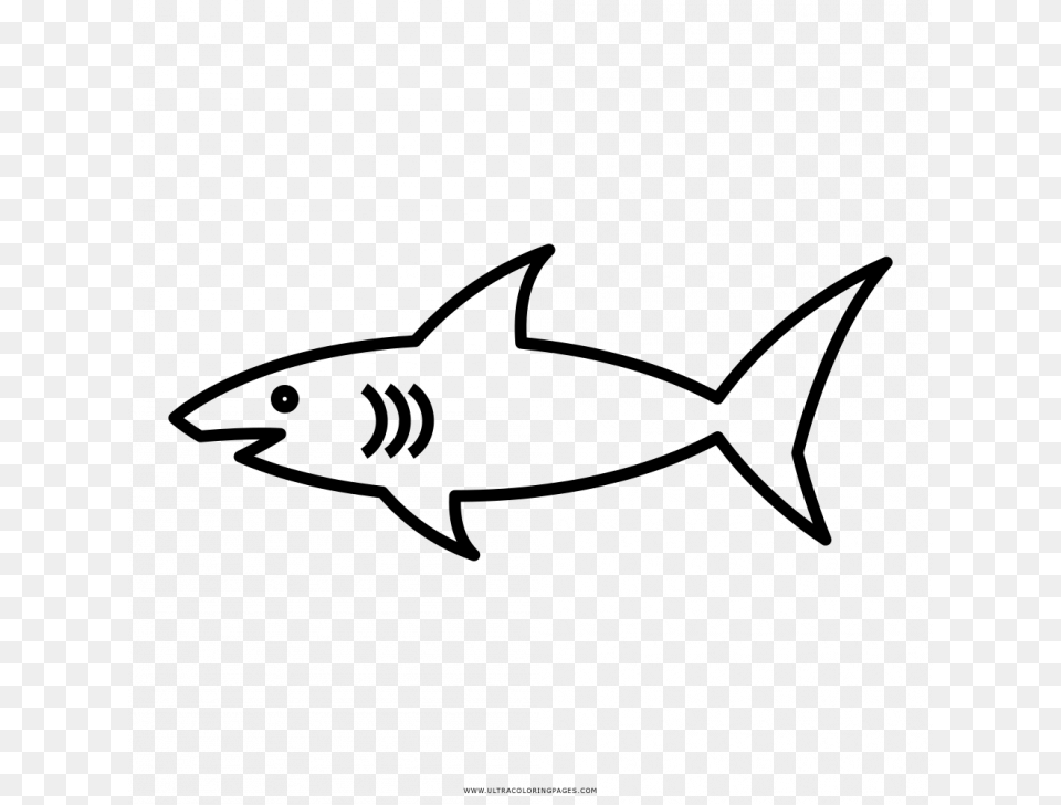 Shark Coloring Pages, Gray Free Transparent Png