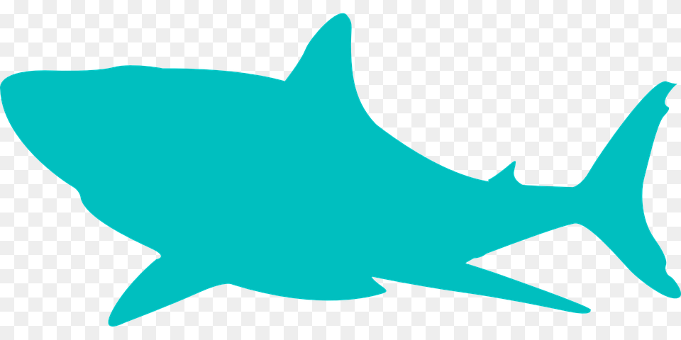 Shark Fin Clipart, Animal, Sea Life, Fish Png Image