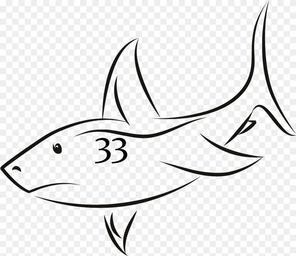 Shark Fin Drawing, Animal, Fish, Sea Life, Tuna Png