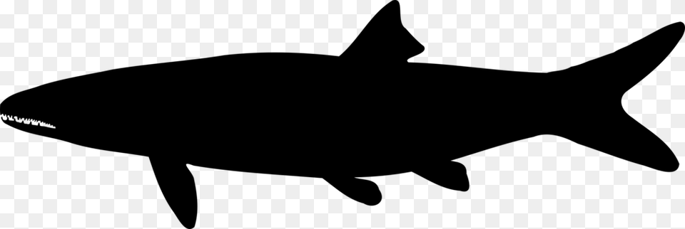 Shark Fin Soup Sea Otter Silhouette Computer Icons, Gray Png Image