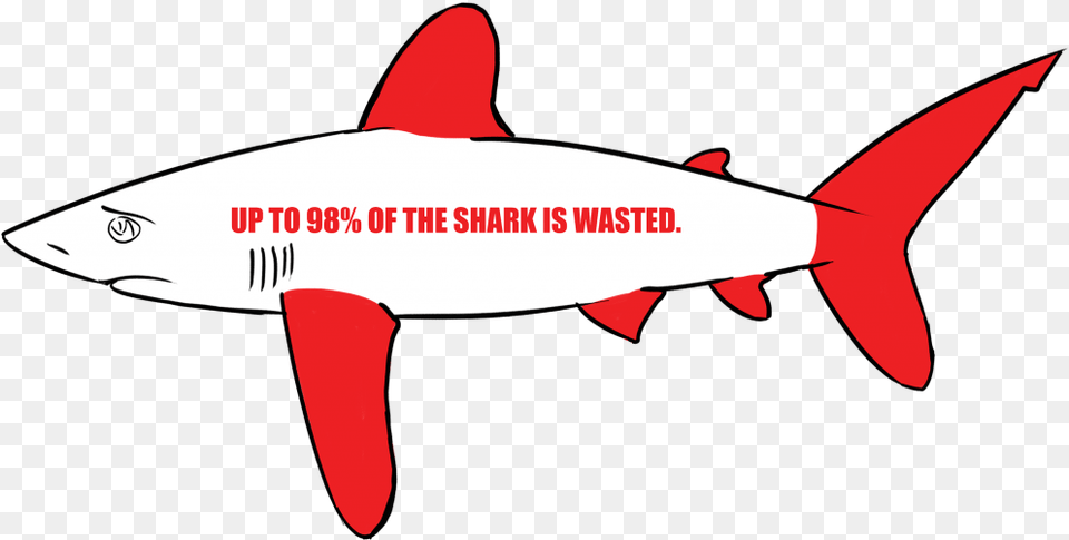 Shark Finning Shark Finning Facts 2018, Animal, Fish, Sea Life Free Transparent Png