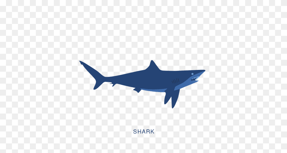 Shark Fish Fishing Animal, Sea Life Png Image