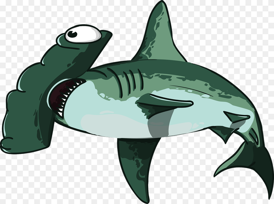 Shark Fish Hammer Predator Teeth Mouth Sea Shark Head Transparent, Animal, Sea Life Png Image