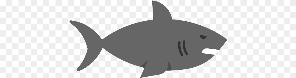 Shark Icon Icon, Animal, Fish, Sea Life, Tuna Free Png