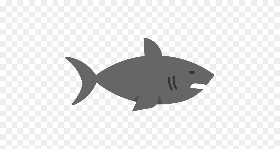 Shark Icons And Graphics, Animal, Fish, Sea Life, Tuna Png Image