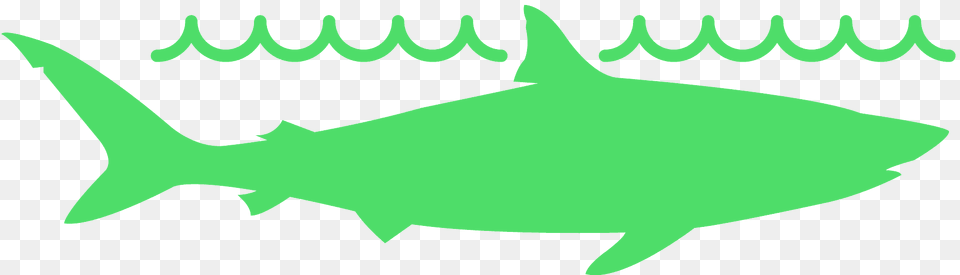 Shark In Wave Silhouette, Animal, Fish, Sea Life, Tuna Free Transparent Png