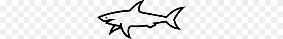 Shark Logo Vectors Download, Gray Png Image