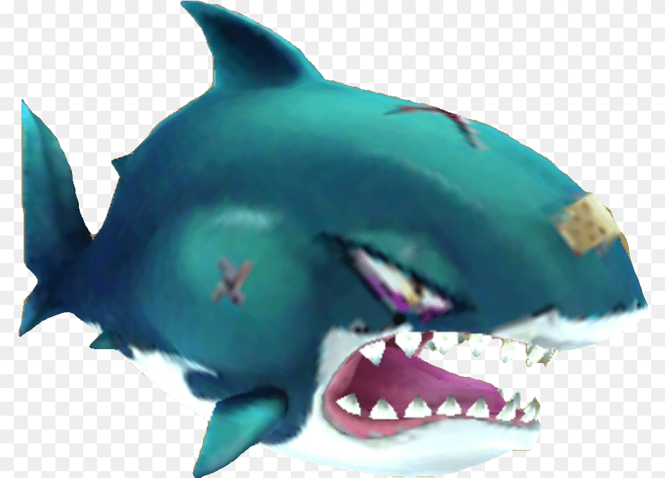 Shark Mouth Hungry Shark World Phil, Animal, Sea Life, Fish Free Png Download