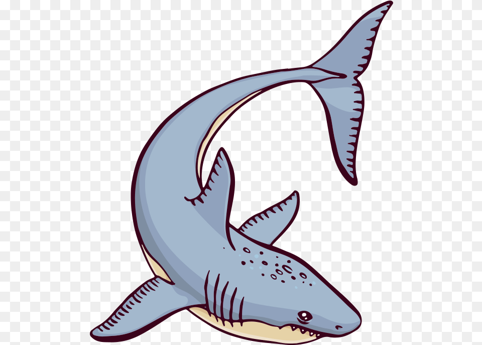 Shark Ocean Sea Cartoon Great White Shark, Animal, Sea Life, Fish Free Png Download