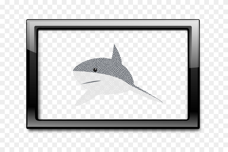 Shark Picture Frames Computer Icons Wall, Animal, Fish, Sea Life, Blackboard Free Transparent Png