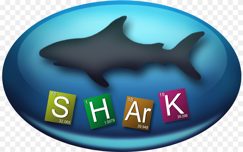 Shark Requiem Sharks, Logo, Animal, Fish, Sea Life Png