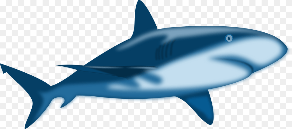 Shark Shaded Clipart, Animal, Fish, Sea Life, Great White Shark Free Png Download