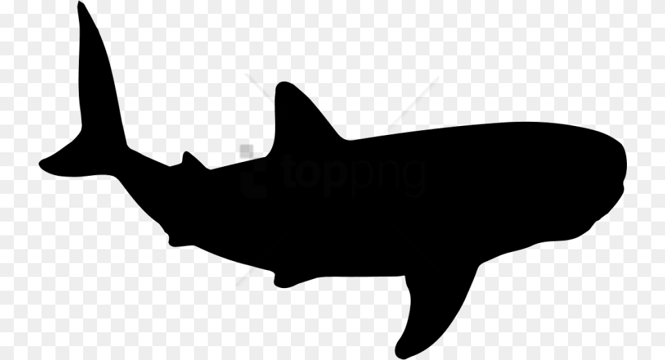 Shark Shape Images Background Whale Shark Icon, Animal, Fish, Sea Life Png