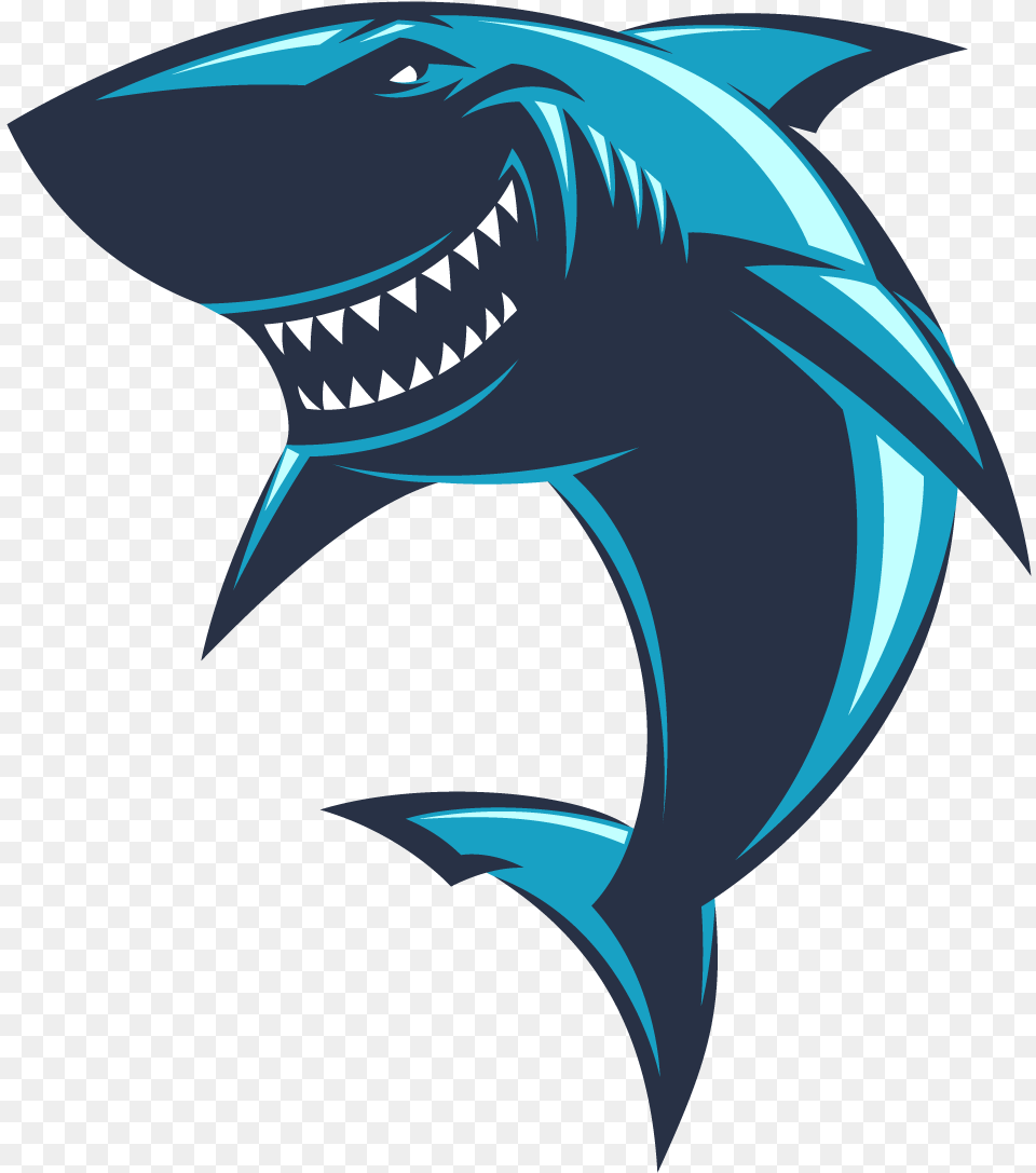 Shark Shark Gaming Logo, Animal, Sea Life, Fish Png