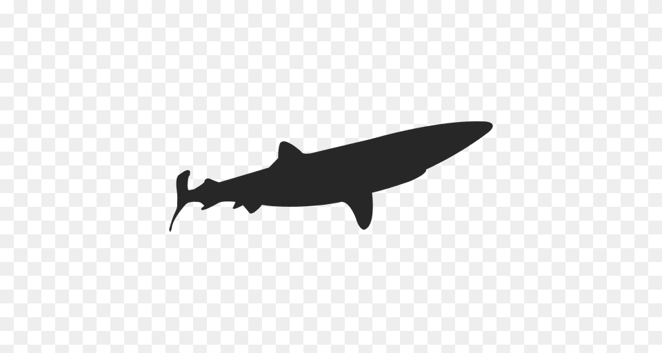 Shark Silhouette, Animal, Fish, Sea Life, Weapon Free Transparent Png