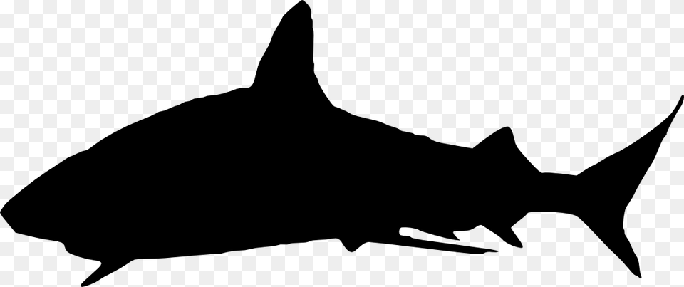 Shark Silhouette, Animal, Fish, Sea Life Free Transparent Png