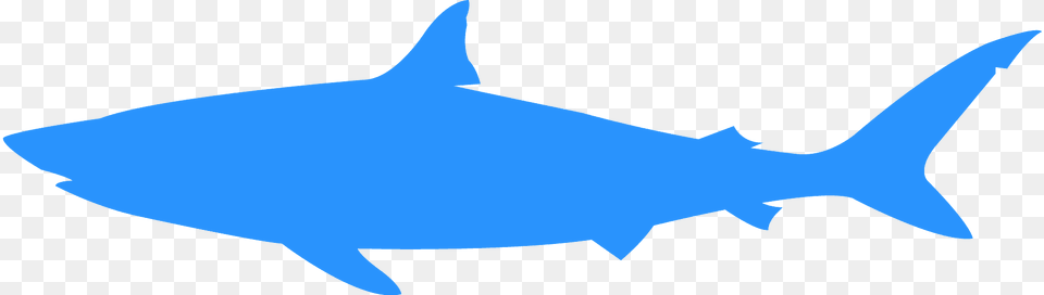 Shark Silhouette, Animal, Fish, Sea Life, Tuna Png Image