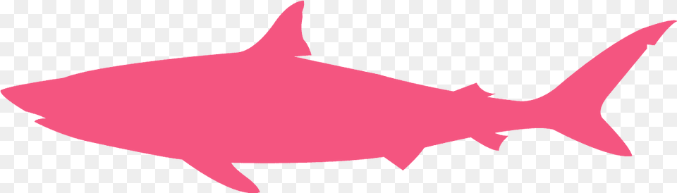 Shark Silhouette, Animal, Fish, Sea Life, Tuna Png