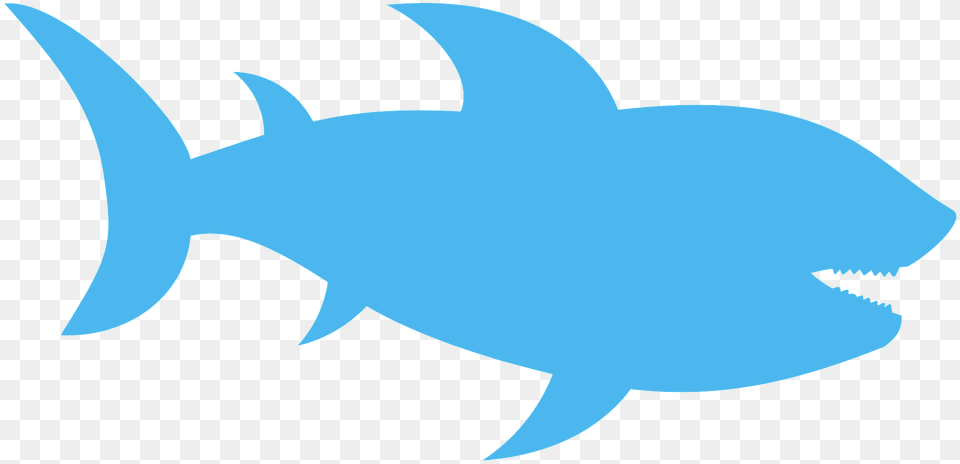 Shark Silhouette, Animal, Fish, Sea Life, Tuna Png Image