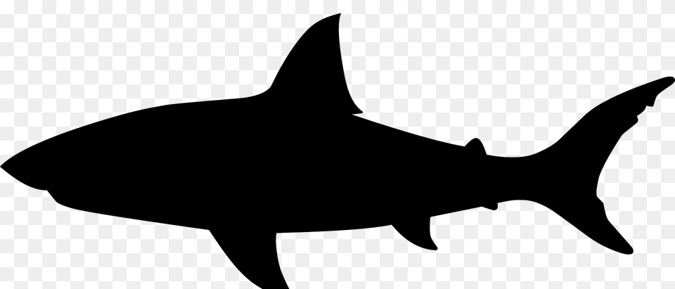 Shark Silhouette, Animal, Fish, Sea Life Free Transparent Png