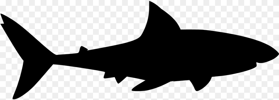 Shark Silhoutee, Gray Png Image