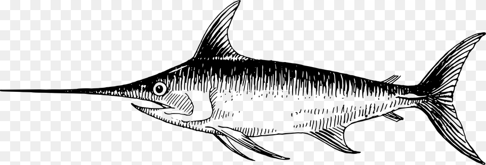 Shark Sketch Pictures Swordfish Clipart Black And White, Gray Png Image